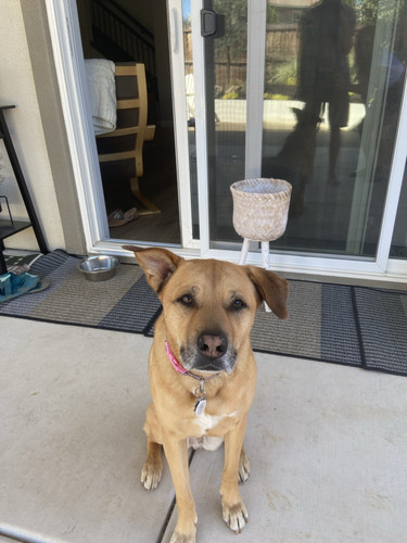 111 3519263 6217050.jpg