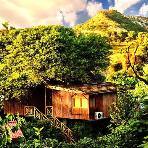 Tree House Resort.jpg