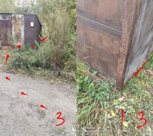 IMG 20220909 022415 310.jpg