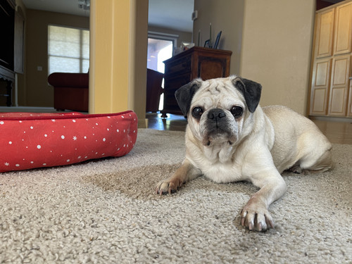 4BE52A67 26C4 4B1B 8E35 9A404399FC79.jpg