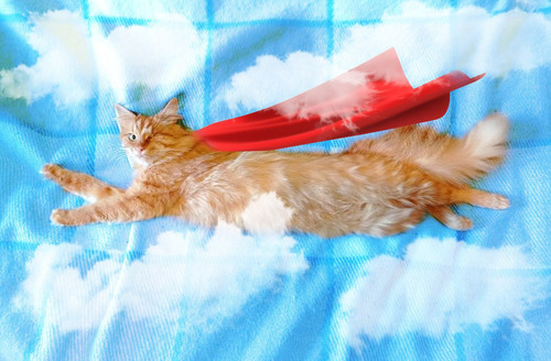 IMG 20220902 235507 092.jpg