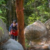 offline trip 1