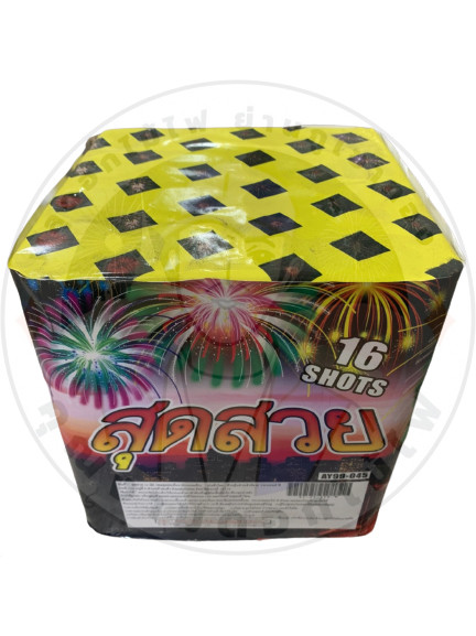 สุดสวย 16 นัด 1300.jpg