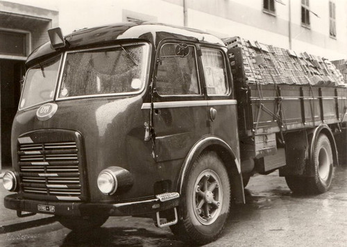 285597278 5303138303082875 4401096768826884908 n.jpg