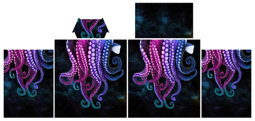 Octopus Galaxy Hoodie 3D.jpg