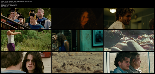Into.the.Wild.2007.1080p.BluRay.DTS.x265 10bit HDS.mkv.png