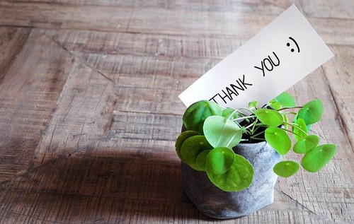 thank you gf0917e116 640.jpg