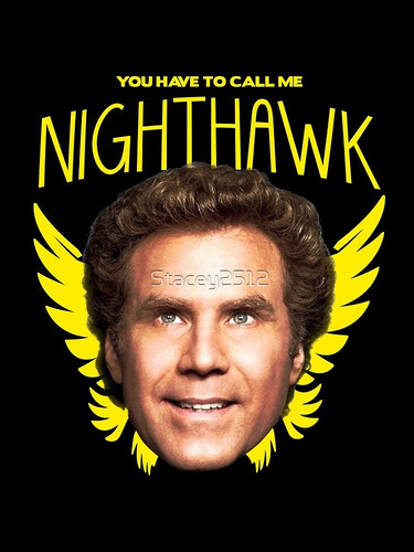 night hawk 2.jpg