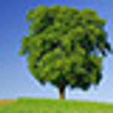 4.jpg,q1.pagespeed.ce.DJYM8KxsPA