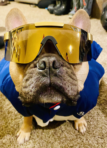 E12E8098 00F5 4E0C 99E8 1C68727F2A22.jpg