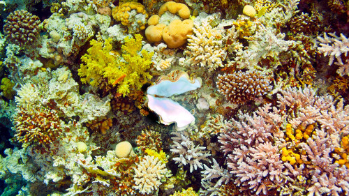 underwater5.jpg
