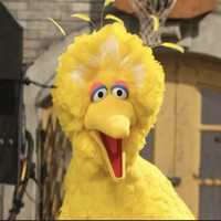 A47C2DD2 A580 484E BC8C 1E59B583C103.jpg