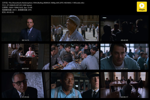 The.Shawshank.Redemption.1994.BluRay.REMUX.1080p.AVC.DTS HD.MA5.1 WScode.mkv.jpg