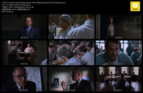 The.Shawshank.Redemption.1994.1080p.BluRay.DTS.x264 WScode.mkv.jpg