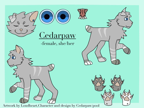 Cedarpaw by Loudeo