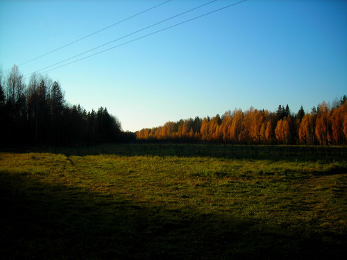 осень, свет и тени (2021).jpg