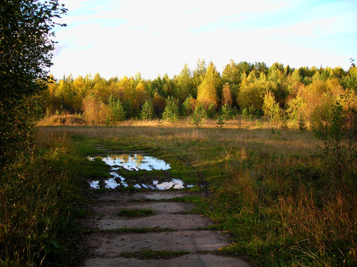 осень, дорога.jpg