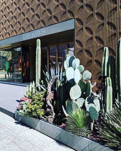 71713325 206484220343026 91224433230402450 n.jpg