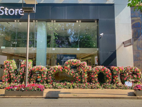 54447063 2228249003897768 3748230109375898420 n.jpg