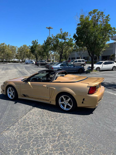 00F0F jnty2ZZ0OWFz 0t20CI 1200x900.jpg