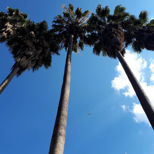 62462833 623229604753085 7197287251284034903 n.jpg