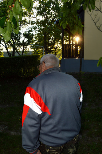 DSC 0958.jpg