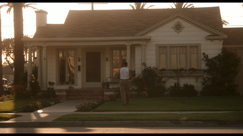 Devil.in.a.Blue.Dress.1995.BluRay.REMUX.1080p.AVC.DTS HD.MA5.1 HDS.mkv 20220726 134319.352.png