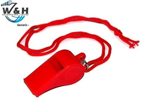 41lsLS+hHGL. AC .jpg