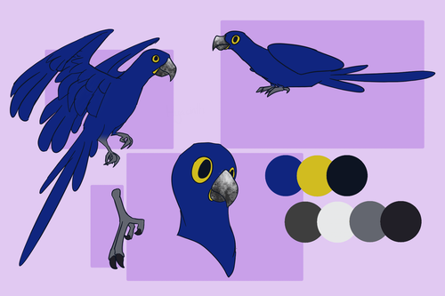 hyacinth macaw oc