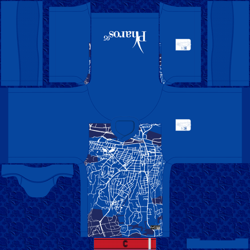 Zalaegerszegi TE 2022 23 Hazai Mez.png