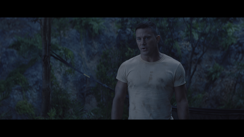 The.Lost.City.2022.UHD.BluRay.REMUX.2160p.HEVC.TrueHD7.1.Atmos HDS.mkv 20220725 223504.200.png