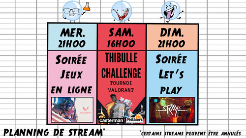 Planning thib 25 07.jpg