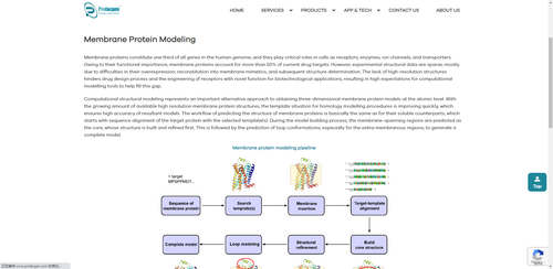 Enzyme Activity Assay Service.png