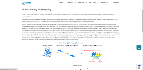 https://www.profacgen.com/protein-binding-site-mapping.htm
Protein–protein interactions (PPIs) play essential roles in almost all cellular processes, including gene regulation, metabolic control, signal transduction, and cell communication.