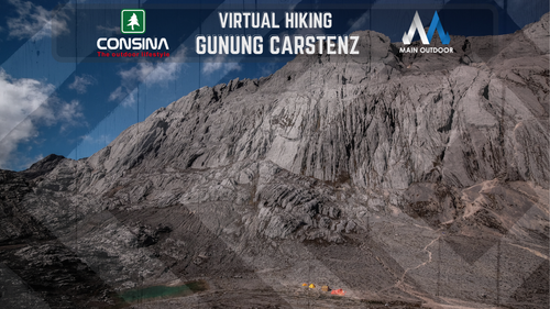 VIRTUAL HIKING