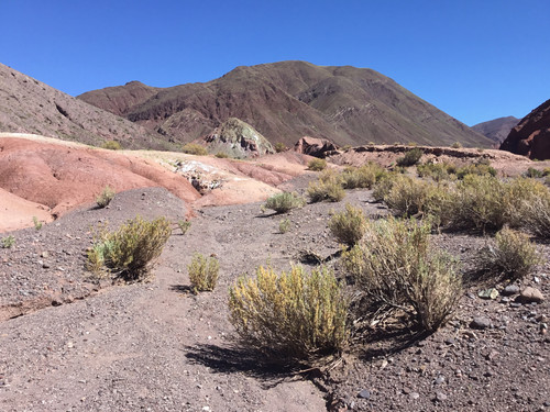 94DF6945 829F 440D 851D 6E3E3E5B0BFD.jpg