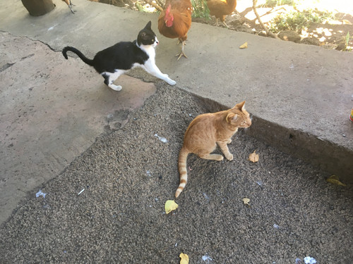 32D0A753 F995 4803 B0BA 53D06252DA6D.jpg