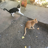 32D0A753 F995 4803 B0BA 53D06252DA6D