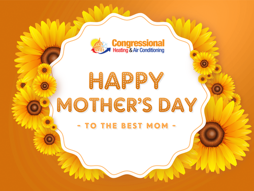 "A man loves his sweetheart the most, his wife the best, but his mother the longest."
- Irish Proverb

Happy Mother's Day to all Moms out there!

#mothersday2021 #congressionalhvac #hvacservices  #hvaccontractor