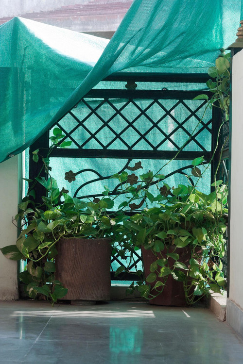 oSq MHuIZ8v186lyHf86DhUVMM56IKRQZ RKX14uBfwIvYAe8kqCjt5THIvRT6lB9VSXcuzU6pK92cfb0EkBlkfk1OgdaR69tK1o.jpg