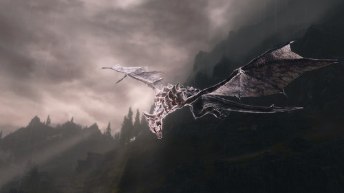 du09z47o7g 12770674124 o.jpg