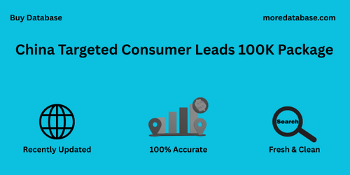 China Targeted Consumer Leads 100K Package.png