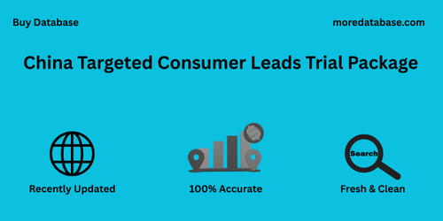 China Targeted Consumer Leads Trial Package.png