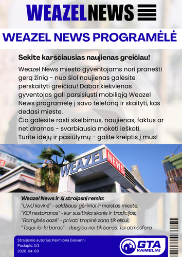 1 puslapis mech (5).png