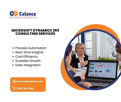 Microsoft Dynamics 365 Consulting Services.jpg