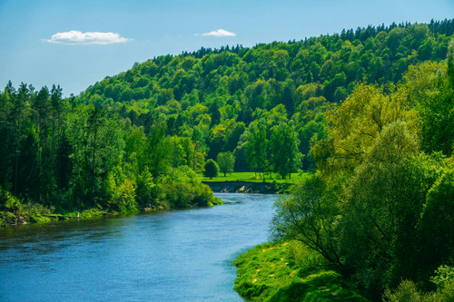 River Landscape.jpg