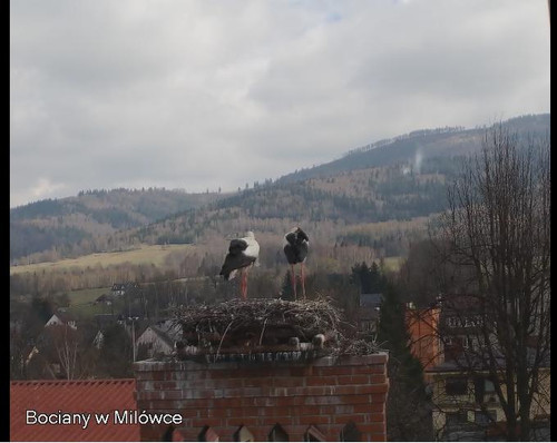 MWSnap510.jpg