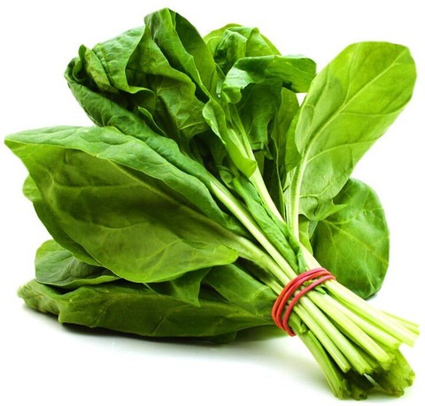 10 spinach seed palak seed arshi.jpg