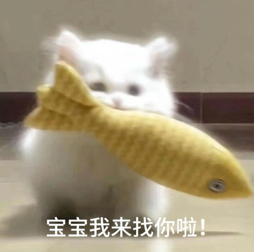 Screenshot 2026 04 09 23 20 37 80 a2db1b9502c98f25523e43284b79cce6.jpg