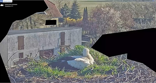 MWSnap696.jpg